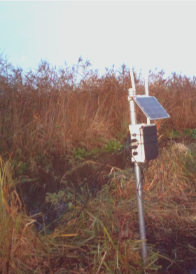 vertical sensor setup2