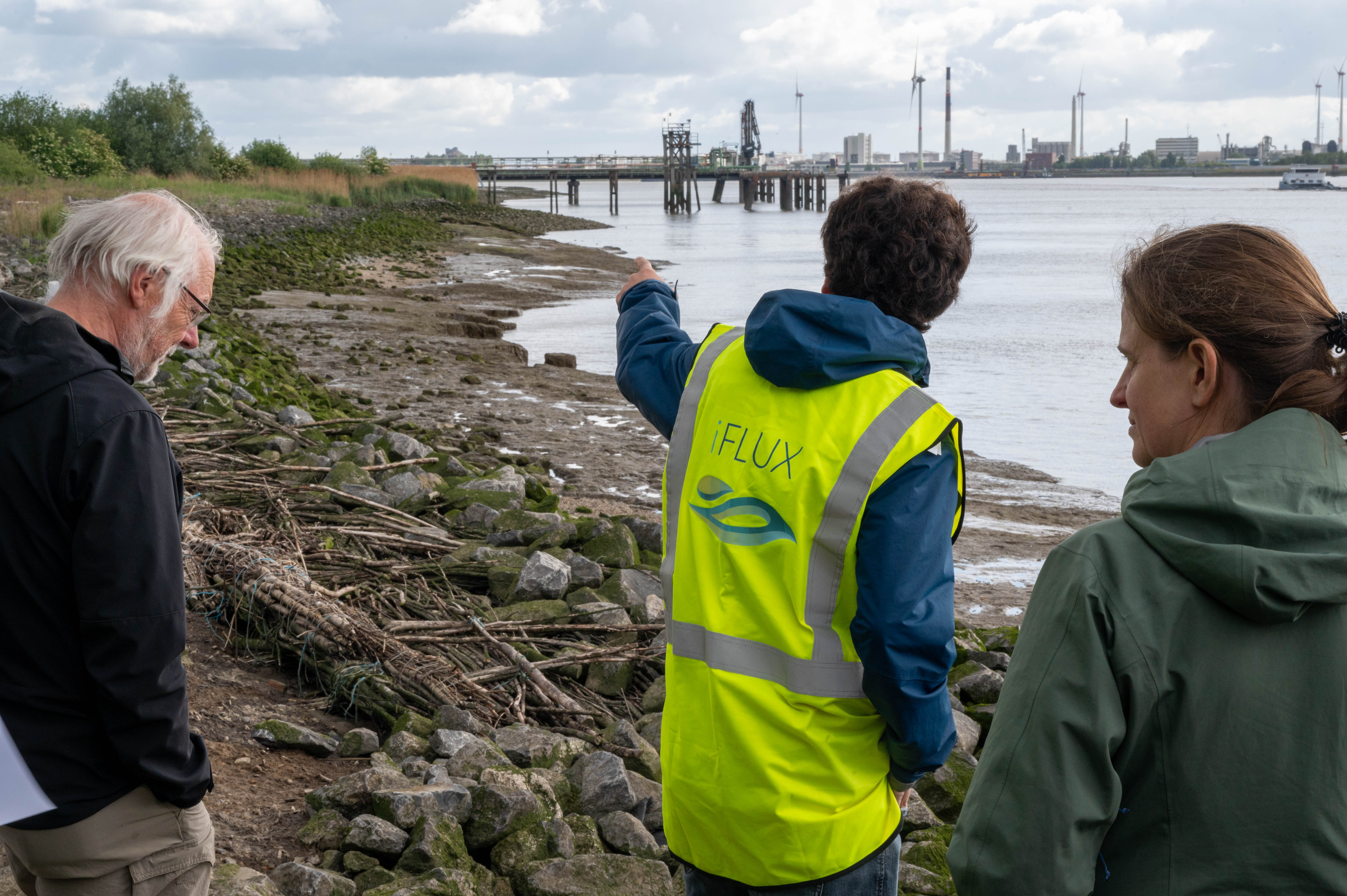 How iFLUX supports tidal marsh restoration in the Bankbusters project